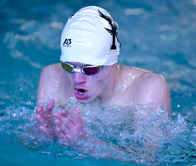 swimmer doing breast stroke