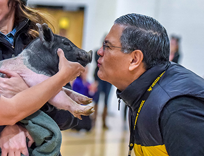 man kissing a pig