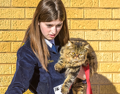 girl holding cat