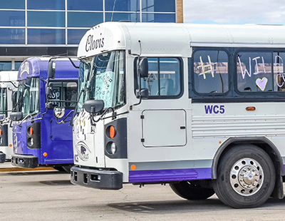 busses in parking lot