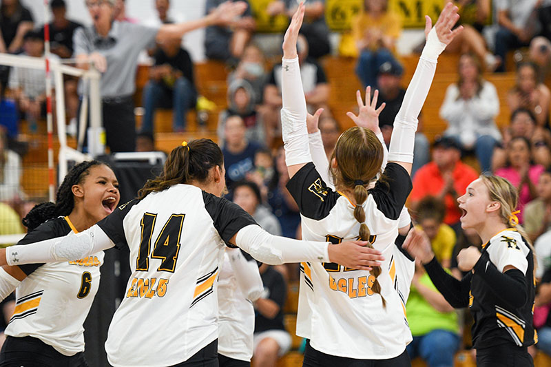 volleyball players cheering