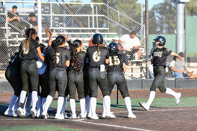 players celebrating homerun